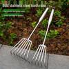 Stainless Steel Multi-Tine Garden Rake with One-Piece Handle for Soil Loosening and Seafood Harvesting