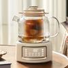 OIDIRE Smart Multifunctional Tea Kettle with Glass Stew Pot CN plug (adapter included)
