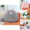 Plush Cat With Long Pile Soft Filling For Living Room Decor And Relaxation