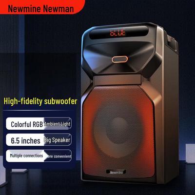 Newmine A2 Outdoor Bluetooth Speaker CN Plug (adapter Included)