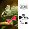 Lizard Costume Set Reptile Outfit Valentine Bow Tie Adjustable 30Cm Leash For Geckos Iguana Lizard Pet Wearable Party Accessory