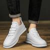 Male Shoes Classic Male Comfortable Sneakers 2024 New Arrival Outdoor Casual Shoes Luxury Brand All-match Skate Footwear Men
