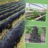 Landscape Staples Outdoor Ground Cover Pin Weed Barrier Fabric Cloth Fixing Nails for Gardening Greenhouse Planting Anchor Multiple Combination Choose