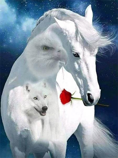 Diamond Art Painting Horse Full Round Embroidery Mosaic Animal Handmade Home Decor