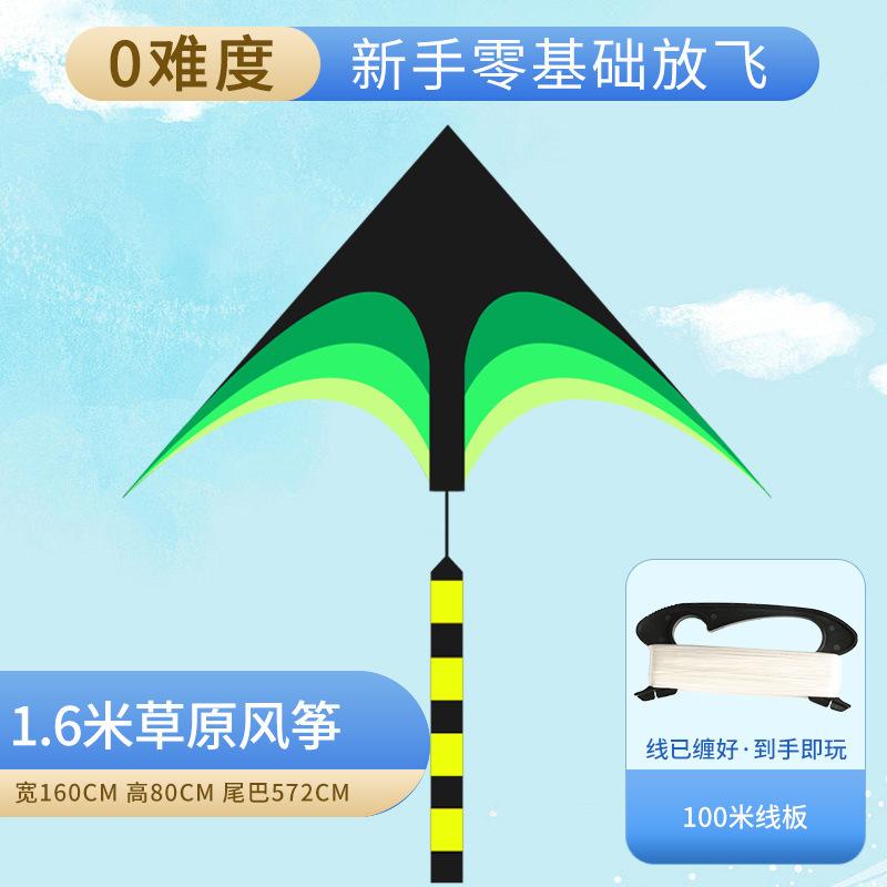 Outdoor Kite for Kids and Adults - Kite for Beach and Outdoor Fun