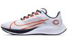 Air Zoom Pegasus 37 Chicago Bears CZ5433-100