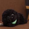Sleepy Poodle Dog Plush Toy, Animal Doll, Gift, Soothing Cushion, Comfortable Cushion, Office Decor, Large, Soft, Realistic, Sleeping Pillow, Perfect