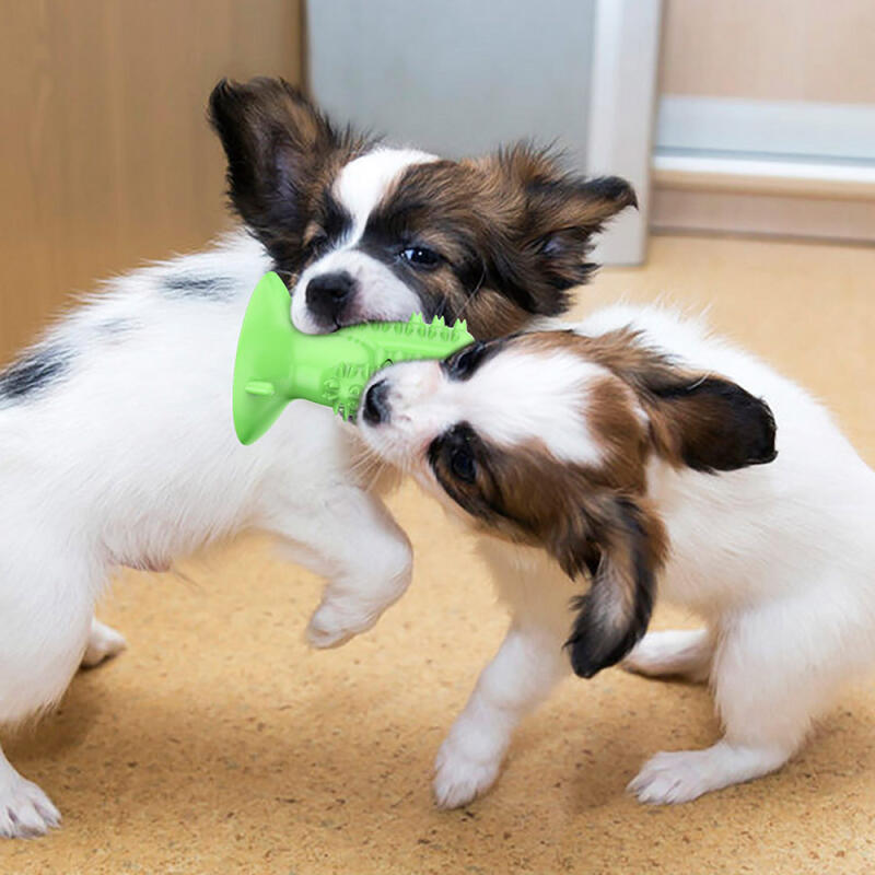 Green Cactus Dog Tartar Remover Chikatoy (9x13cm)