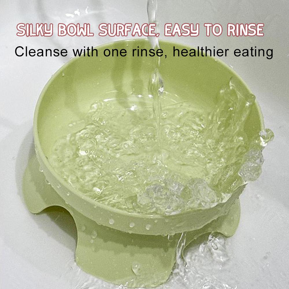 Erhöhte Katzennäpfe, keine Verschüttungen, geneigte, erhöhte Futter- und Wassernäpfe für Katzen und kleine Hunde