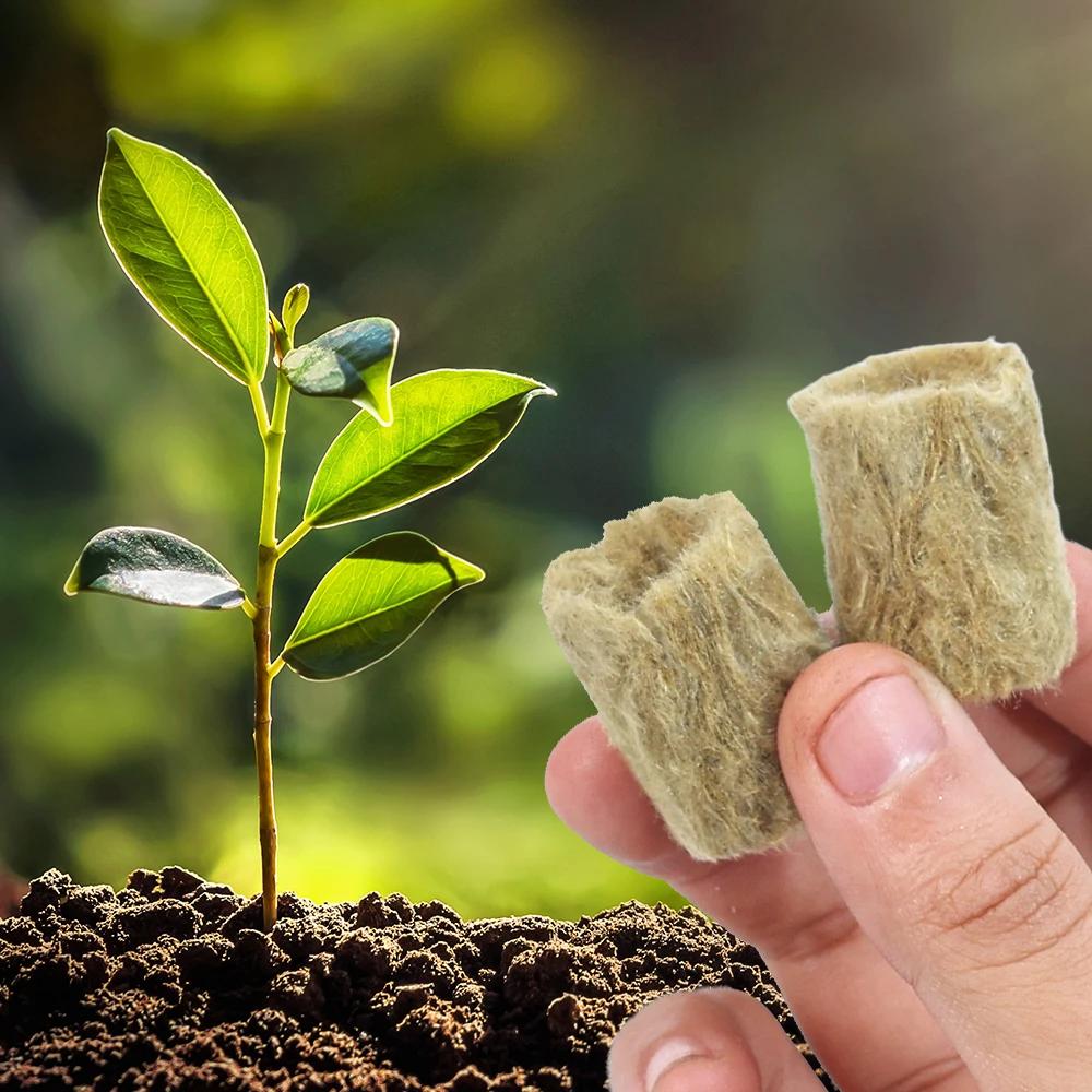 10-200 sztuk Hydroponiczne Podłoże Do Uprawy Sadzonki Wtyczki Do Uprawy Kostki Kostki Do Roślin Podłoże Bezglebowe Zasiane Wtyczki Do Włókien Skalnych Blok Do Uprawy Sadzonki