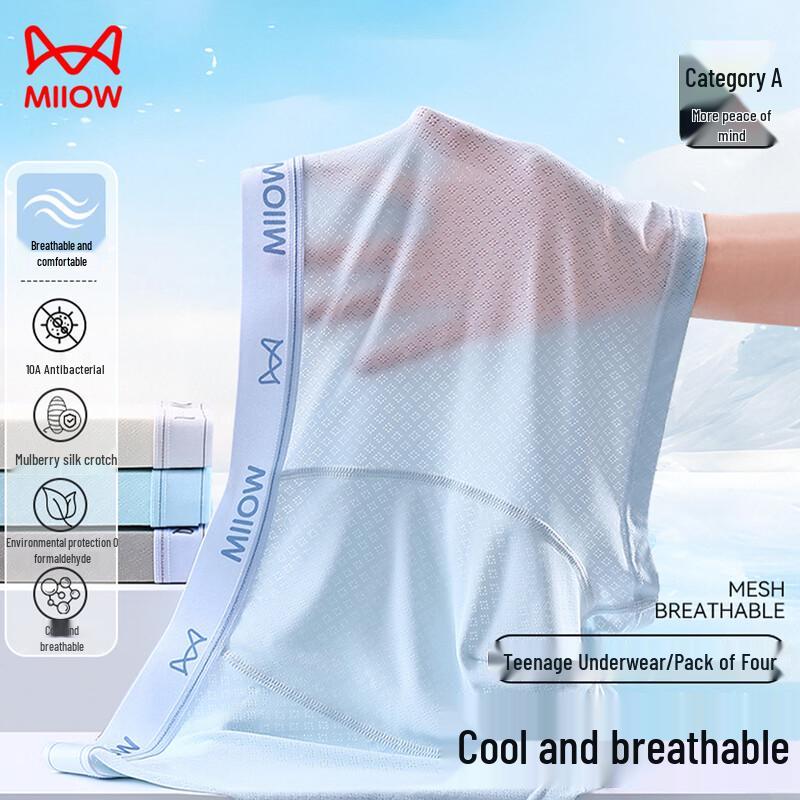 MaoRen Teen Boys Ice Silk Breathable Underwear 4-Pack