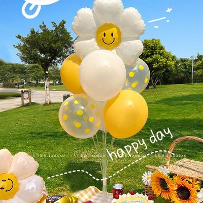 Spring Picnic Party Balloons: Baby Birthday, Outdoor Events, Camping, and Photo Props
