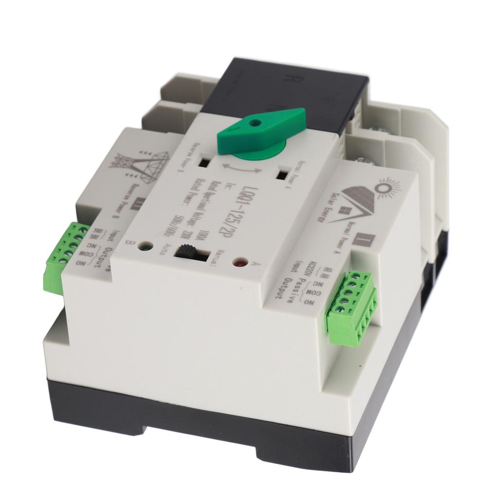 Dual Power Automatic Transfer Switch 2P Millisecond Circuit Fast Controller AC230V 100A Household PV