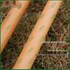 Manganese Steel Garden Rake