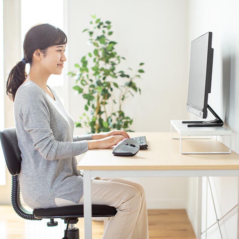 SANWA SUPPLY Minimalist Monitor Riser Desk Organizer