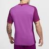 Nike Court Heritage Lightweight Breathable Moisture-Wicking Color-Block Short Sleeve Tennis Shirt Men Tops Purple Red FN0318-518