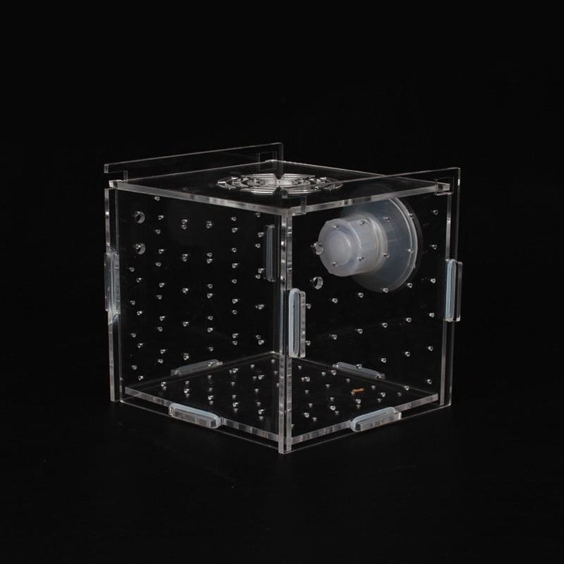 FishTank Hatchery Incubator Aquarium Small Breeding Box Clear Breeder Isolation Hatching Box