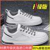 Summer Breathable Coconut Men's Shoes 2025 New Versatile Running Mesh Shoes Men's Casual Trendy Shoes