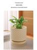 Elegant Large Ceramic Flower Pot with Saucer for Home - Light Luxury Style Ideal for Orchids, Succulents, and Green Plants