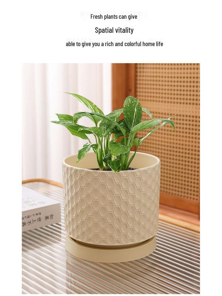 Elegant Large Ceramic Flower Pot with Saucer for Home - Light Luxury Style Ideal for Orchids, Succulents, and Green Plants