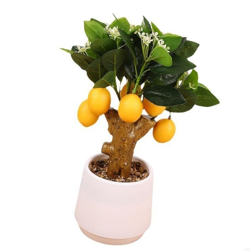J0MC Artificial Simulation Fruit Branch Faux Miniature Fruit Stem Realistic Tree Branch Model for Office Desk Decors
