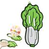 Pot Lid Holder Anti-Slip Slot Chinese Cabbage Shape Silicone Pot Lid Rack Chopping Board Storage Kitchen Organizer