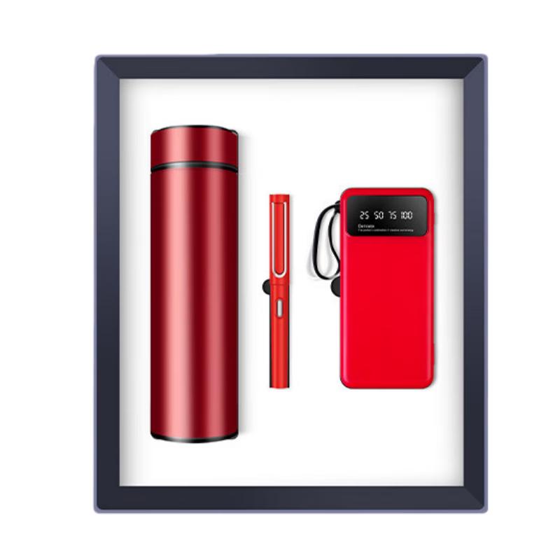 Smart Display Thermos Holiday Gift Set