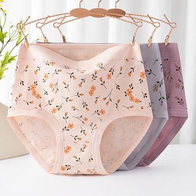 Roupa interior – Cuecas higiénicas