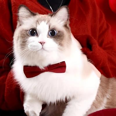 Breakaway Bowknot Cat Collar With Bell, Adjustable Cat Necklace With Bowknot Design