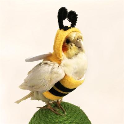 Komik Arı Şekilli Kuşlar Giysi Uçan Takım Elbise Papağanlar Kostüm Cosplay Kış Sıcak Şapka Kapşonlu Evcil Hayvan Aksesuarları Parakeet Cockatiel