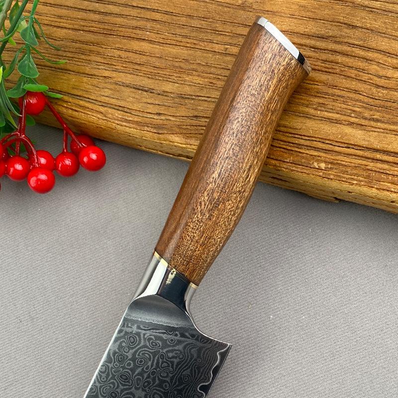 8 Inch Chef Knife 67-layers Damascus VG10 Steel Blade Slicing Vegetables Cleaver Meat Japanese Kitchen Sharp Knife Wood Handle