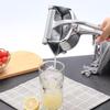 Stainless Steel Manual Citrus Juicer - Lemon & Orange Press