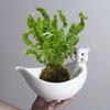 Handmade Mini Cartoon Ceramic Fleshy Plant Pot Planter Gift Ceramic Planter Container for Indoor Garden Desk Decoration