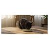 Gamelle pour chat 17 cm Fishie vert