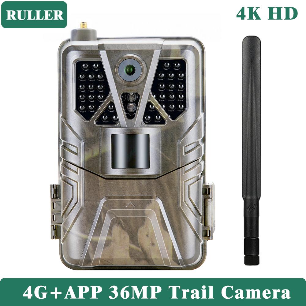 

Руллер для улицы, мобильное приложение 4g, прямой видеопоток, охотничья тропа, ловушка, игровая камера, Sms, Mms, электронная почта, Po, водонепроницаемый мониторинг дикой природы