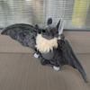 Cute Bat Plush Toy Halloween Decoration Gift Doll Gift Doll For Independent Station
