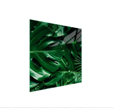 GLAS-KOCHFELD-SCHUTZPLATTE 50x52 MONSTERA