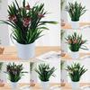 Useful Artificial Potted Plant Portable Plastic Decorative