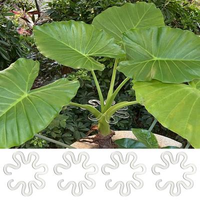 Supporto per Piante Monstera Supporto Riutilizzabile a Forma di Fiore per Piante, Supporto per Stelo Monstera