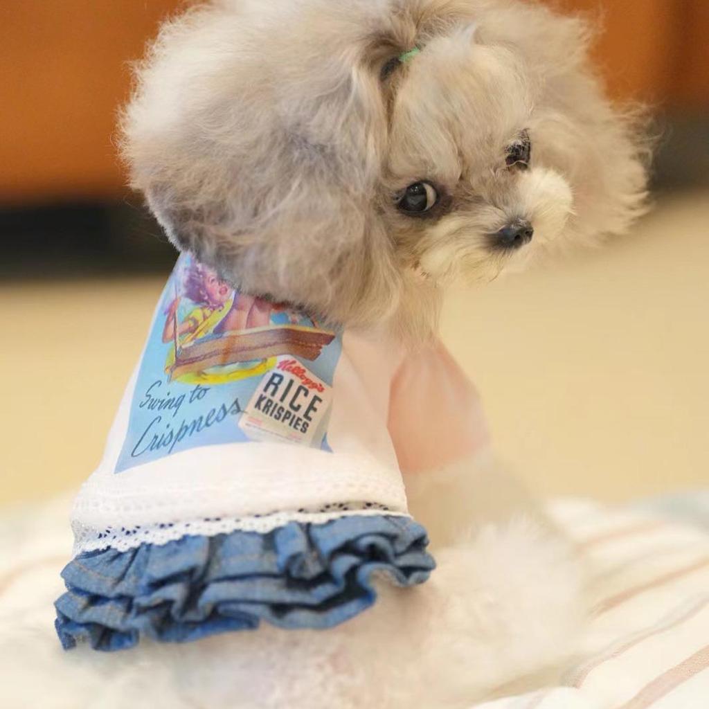 Pet Cat Dog Playful Print Classic Japanese Korean Style T-Shirt for Small Puppies