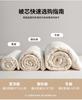 A-class Cotton Soybean Antibacterial Quilt