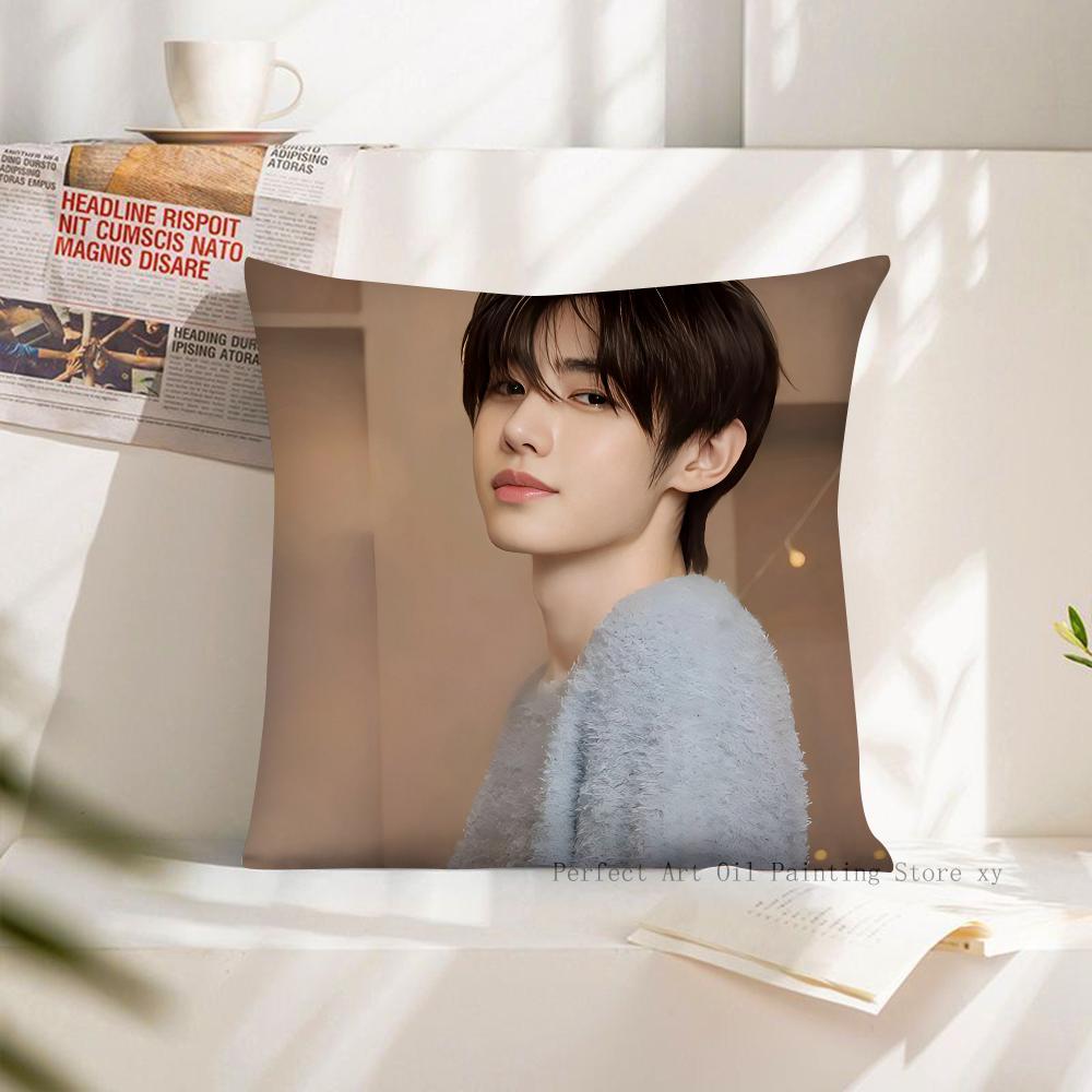 1 Stück KPOP Park Sunghoon Kissenbezug Quadratischer Kissenbezug Schlafzimmer Sofa Raumdekoration Lässig E-ENHYPEN Kissenbezug