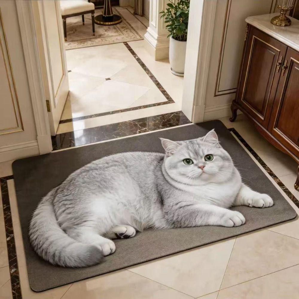Absorbent Entryway Rug Cat Printed Home Floor Mat Cute Diatomite Door Mat Porch