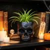 Retro Distressed Skull Decor Planter, Resin Head Flower Pot, Halloween Candy Bowl, Spooky Unique Gothic Gifts Decoration for Tabletop Home Bar Office
