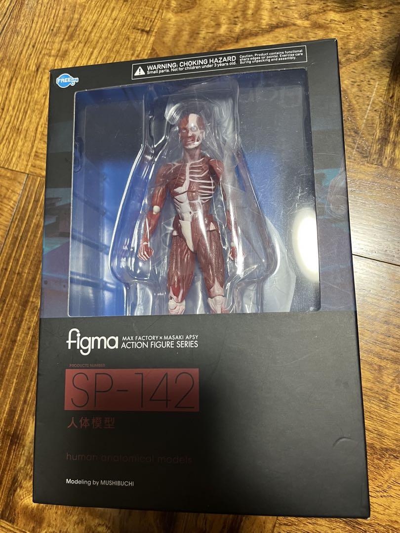

[USED] figma SP-142 human body model