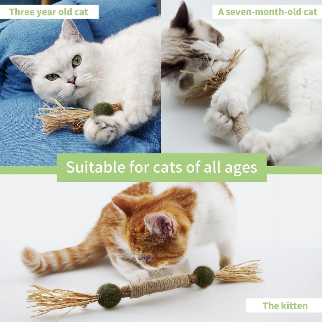 silvervine for cats teeth