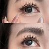 DZANIK False Eyelashes, Clear Band, 10 Pairs Set