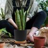2pcs 16.51cm Flowerpot Removable Bottom Round Flower Pot 6.5inch Detachable Bottom Flower Pot Outdoor Garden Home Supplies