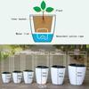 Lazy Flower Pot Self-Watering Plant Flower Pot Planter  For Soilless Planting Flowers Tabletop Bonsai Decor Home Garden Supplies
