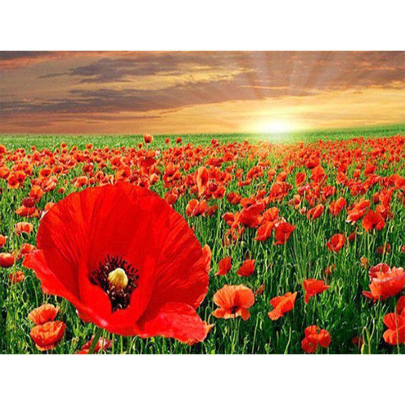 

Новое поступление алмазная живопись цветок алмазная живопись Алмазная вышивка полный комплект горный хрусталь мозаика подарочные украшения для дома Full Round 20x25CM